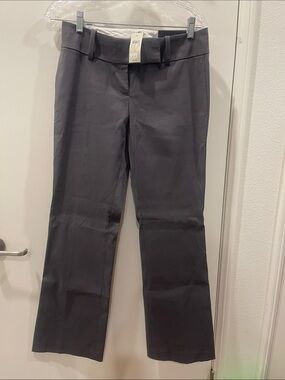 Ann Taylor Dark Charcoal Women's Dress Pants